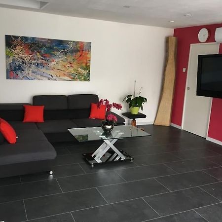Loft Le Nid De Cigogne Villa Sélestat Exteriör bild